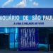 Associado SEESP tem desconto em ingressos do Aquário de São Paulo